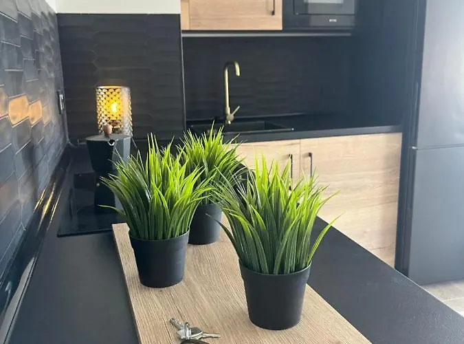 Luxury Center I Apartament